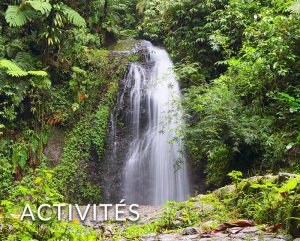 Hôtel SIMON**** Site officiel