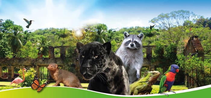 Zoo de Martinique